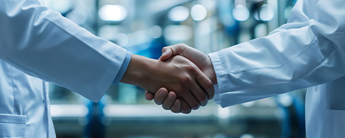 Development and Partnership Committee