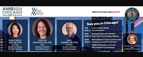 Scientific Program at 2024 AANS Annual Scientific Meeting